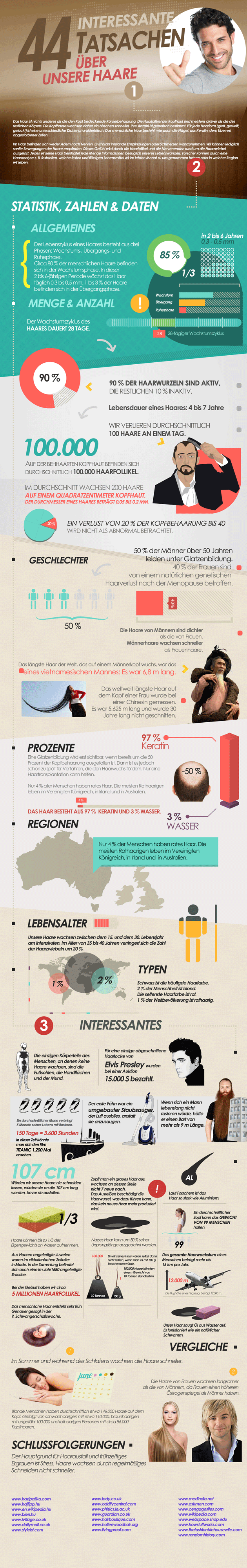 Infografik 44 interessante Tatsachen über unsere Haare